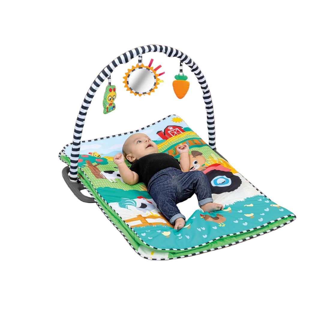 Baby Einstein Farm Explorers Busy Barnyard Grow With Me Activity Gym 